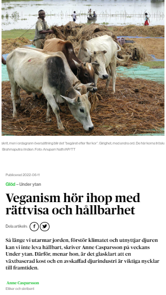 Veganism hör ihop med rättvisa och hållbarhet – Anne Casparsson